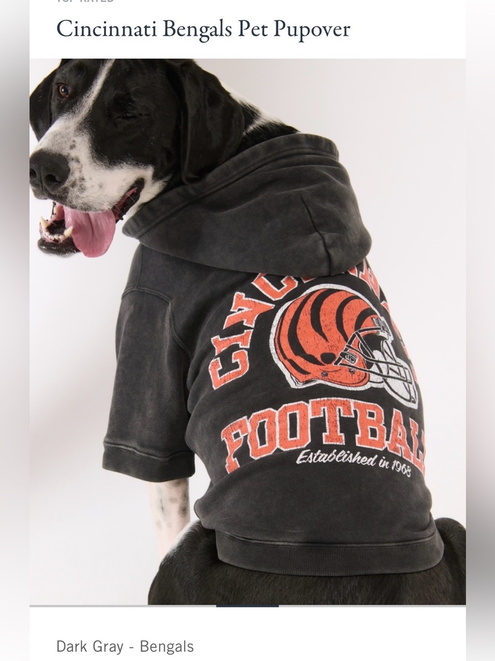 Abercrombie Cincinnati Bengals Pet Pupover hoodie size X-LARGE
